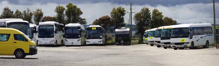 McKenzies Scania K440EB Coach Concepts 7. Warragul K360CB Higer 2036AO and Berwick Bonluck Citystar 4 plus Fuso Rosas 38, 50, 35 & 28